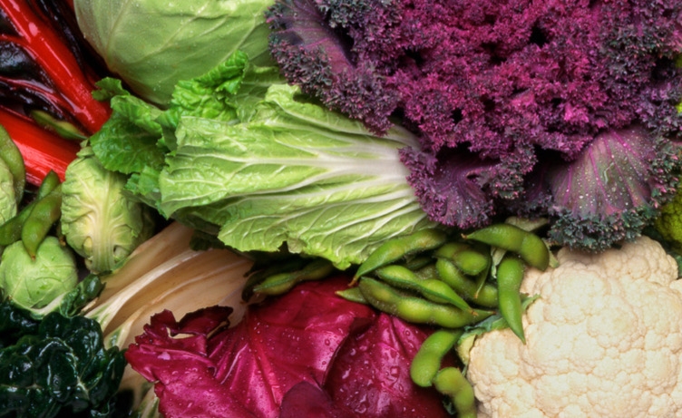 Curso Online de Alimentación Vegetariana y Vegana saludable en mayo